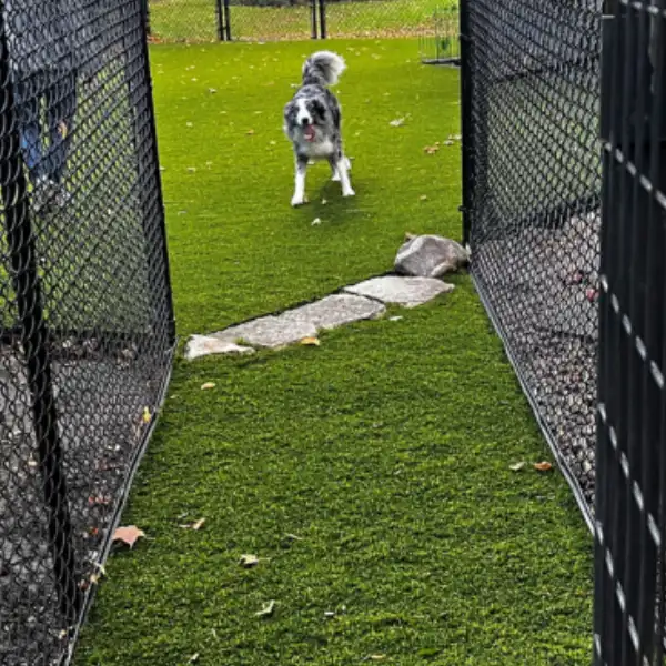 Synthetic Turf