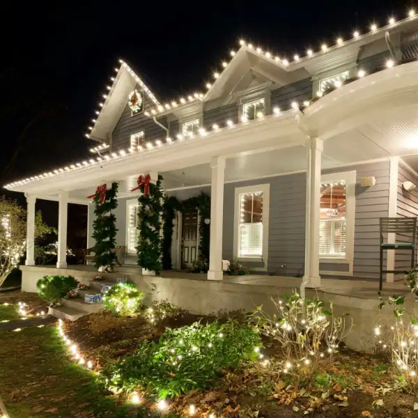 Why Have Lights Professionally Done? — Taylor's Way