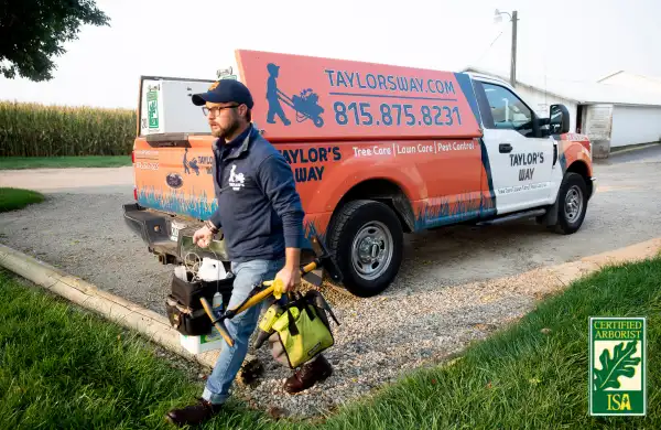 Why choose us for service? — Taylor's Way