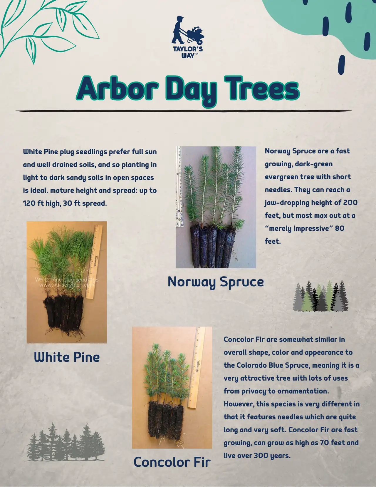 Arbor Day — Taylor's Way