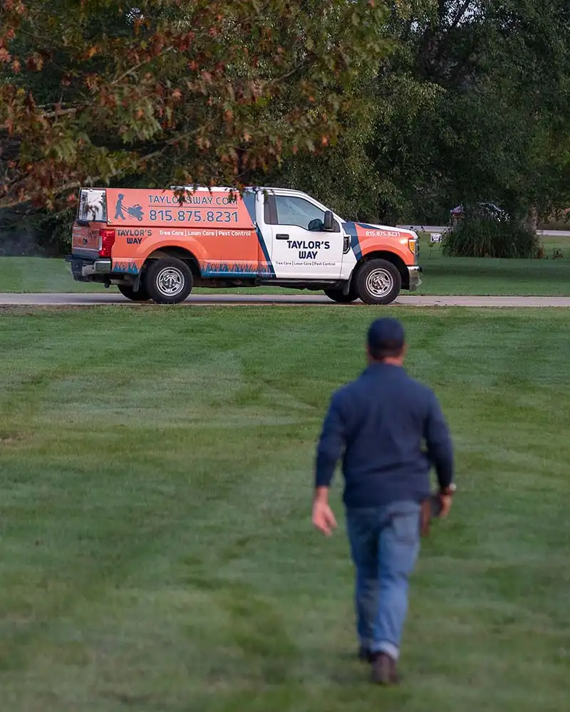Our services — Taylor's Way
