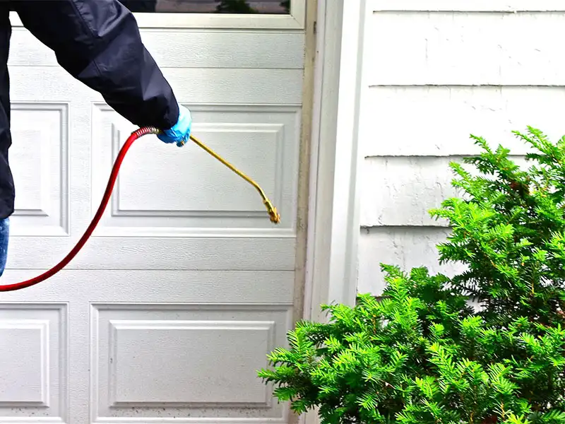 Pest control service being applied
