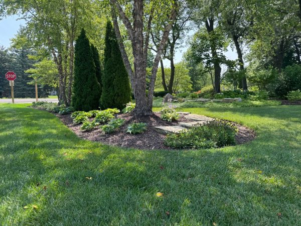 Ensure A Healthy Future For Your Trees & Shrubs