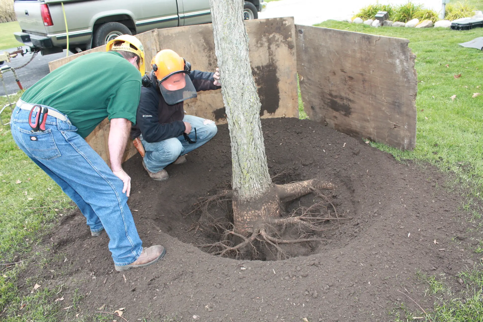 ISA-certified arborist using an air spade to assess and care for tree roots on an Illinois property