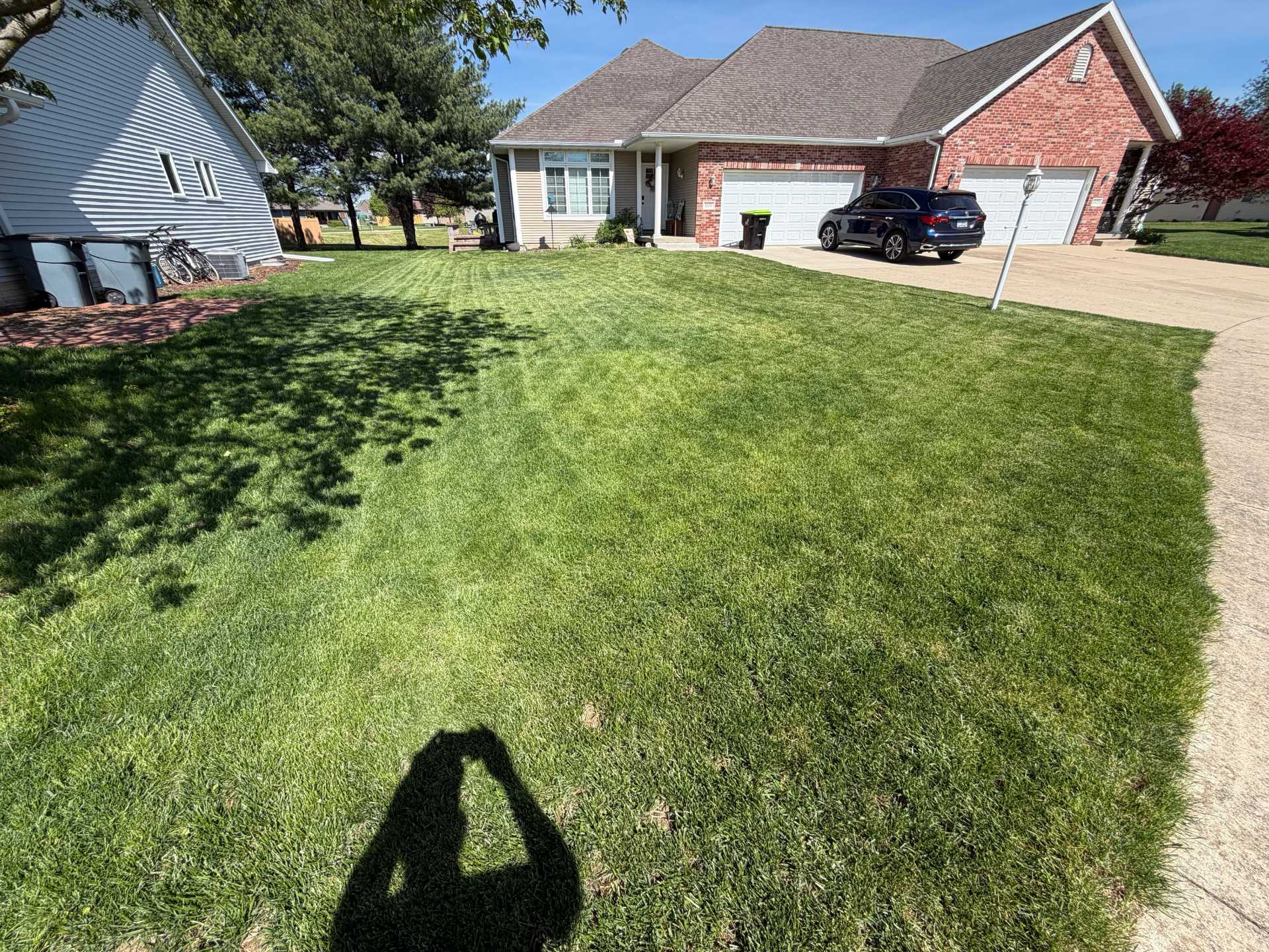 Princeton IL lawn after one year of consistent care showing the kind of density recovery Taylor's Way builds for north-central Illinois homeowners