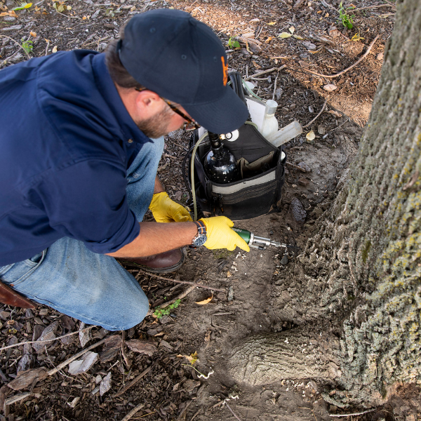 Our Approach — Integrated Pest Management
