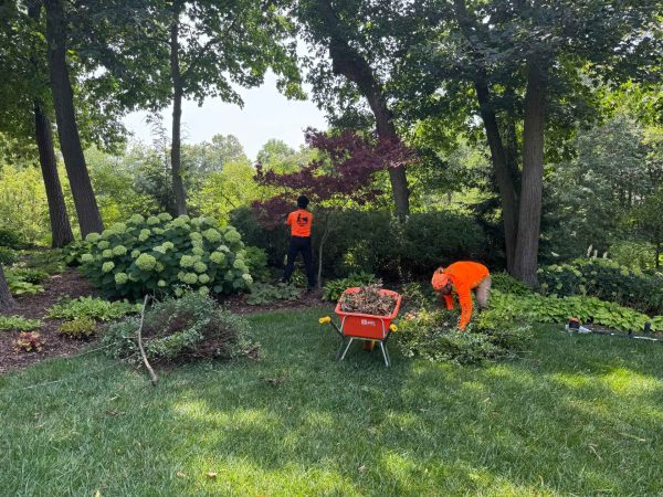 Be Proactive In Your Property's Health