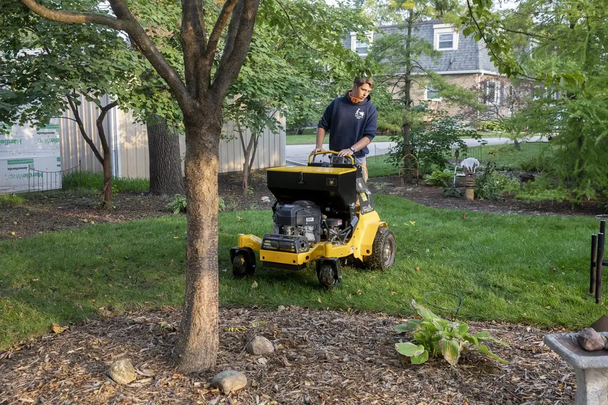 Fall Lawn Seeding: Why Fall Is the Best Time to Seed in Illinois