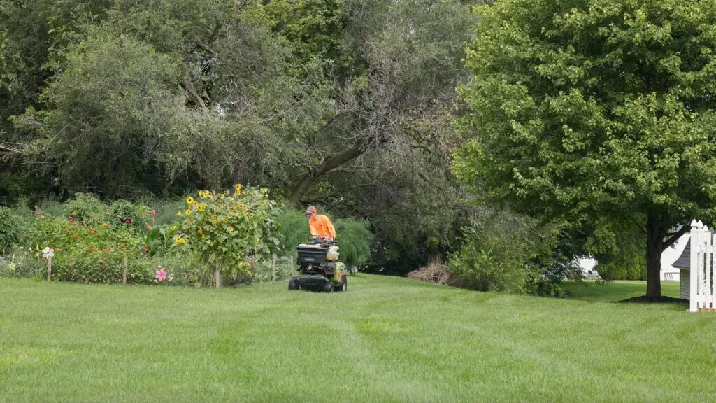 Taylor's Way Lawn Care