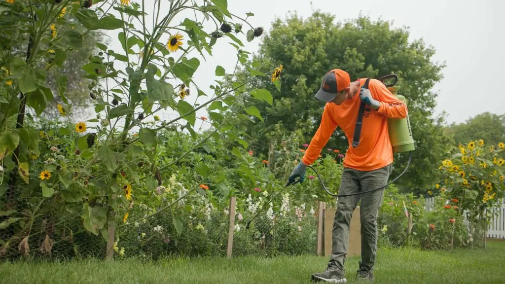 Taylor's Way Weed Control
