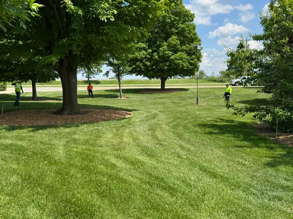 Lawn & Trees copy