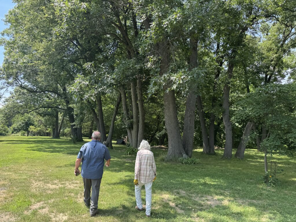 Tree Plant Health