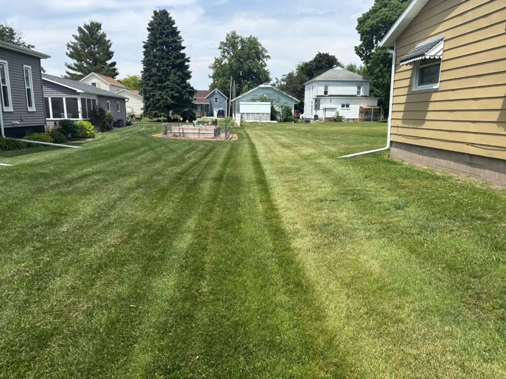Taylor's Way Comparison