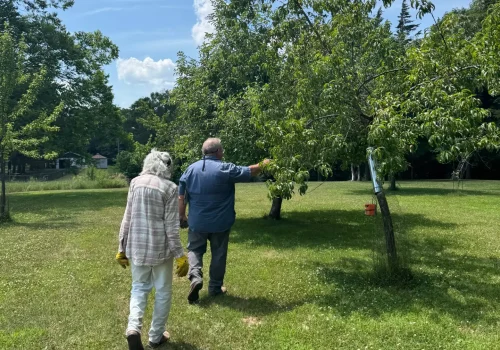 Fruit Tree Program