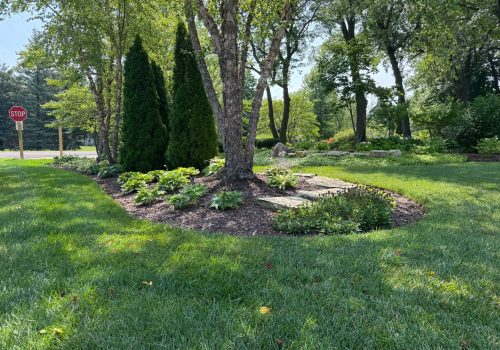 Taylor's Way Landscaping