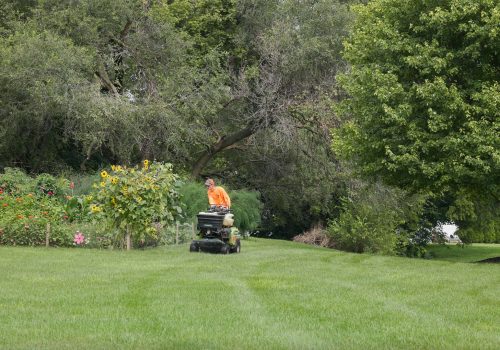 Taylor's Way Lawn Care