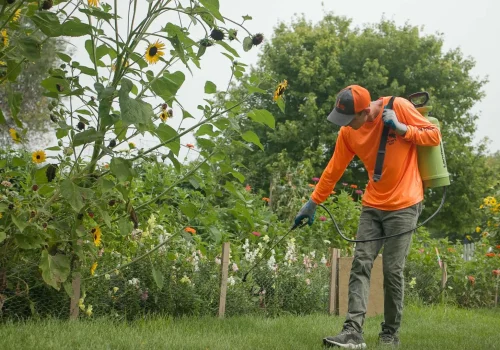 Taylor's Way Weed Control