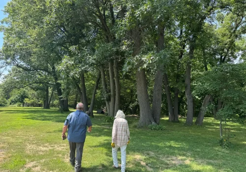 Tree Plant Health